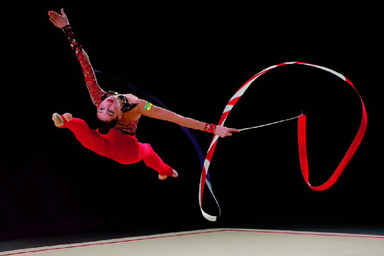 BERRY Yves - Ruban Rouge - Médaille d'or PSA Gold medal