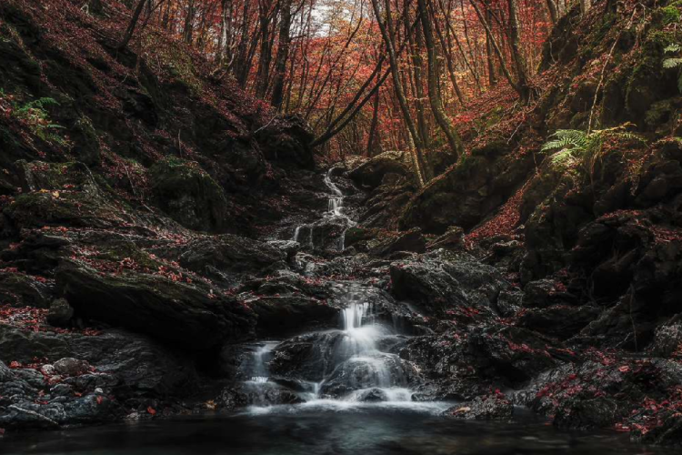FABIO Rossano - Autumn Waterfall