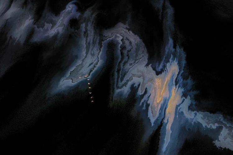 WANG Rui - Birds In Flight10