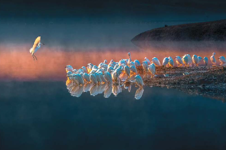 ZHU Raoping - Returning To The Team