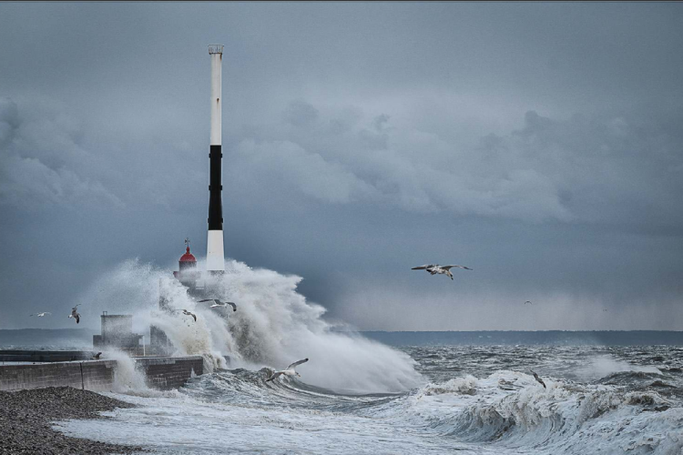 GANGLOFF Elisabeth - Entrée Du Port
