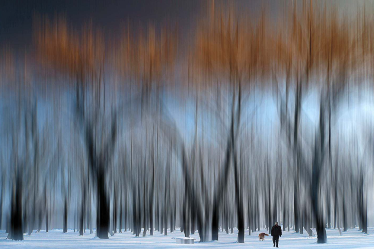 RACKI Neda Magic Forest