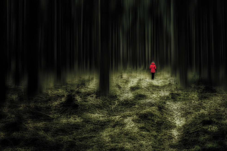 HEINRIGS Wolfgang - Im Wald