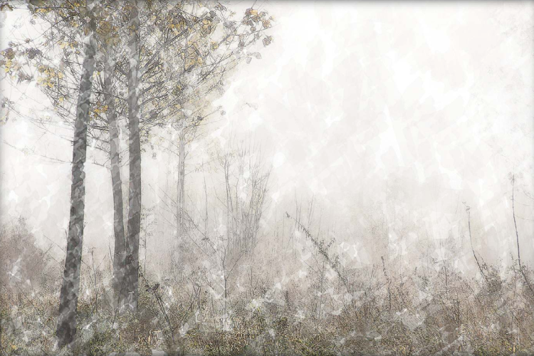 GILLIOT Michel  - Arbres Impressions