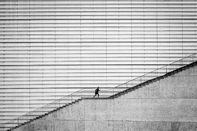 SAJOT Nicolas Course - Dans L'Escalier - Médaille d'or FPF Gold medal