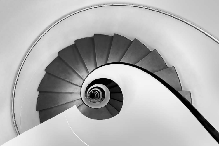 LETENDART Frédéric - L'Oeil Suisse - Médaille d'argent FPF