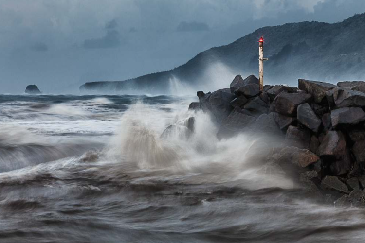 PASSUELLO Elizabeth - Wet And Wild - Médaille d'or PSA Gold medal